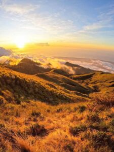 rinjani senaru grass